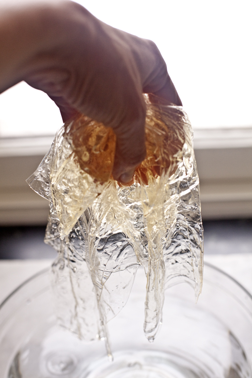 Squeezing excess water out of gelatin sheets | how to make homemade marshmallows | photo by Zoë François