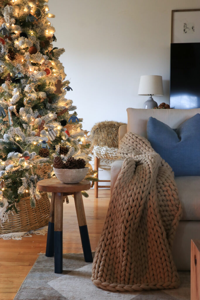 Coastal Niece Christmas Holiday Housewalk.