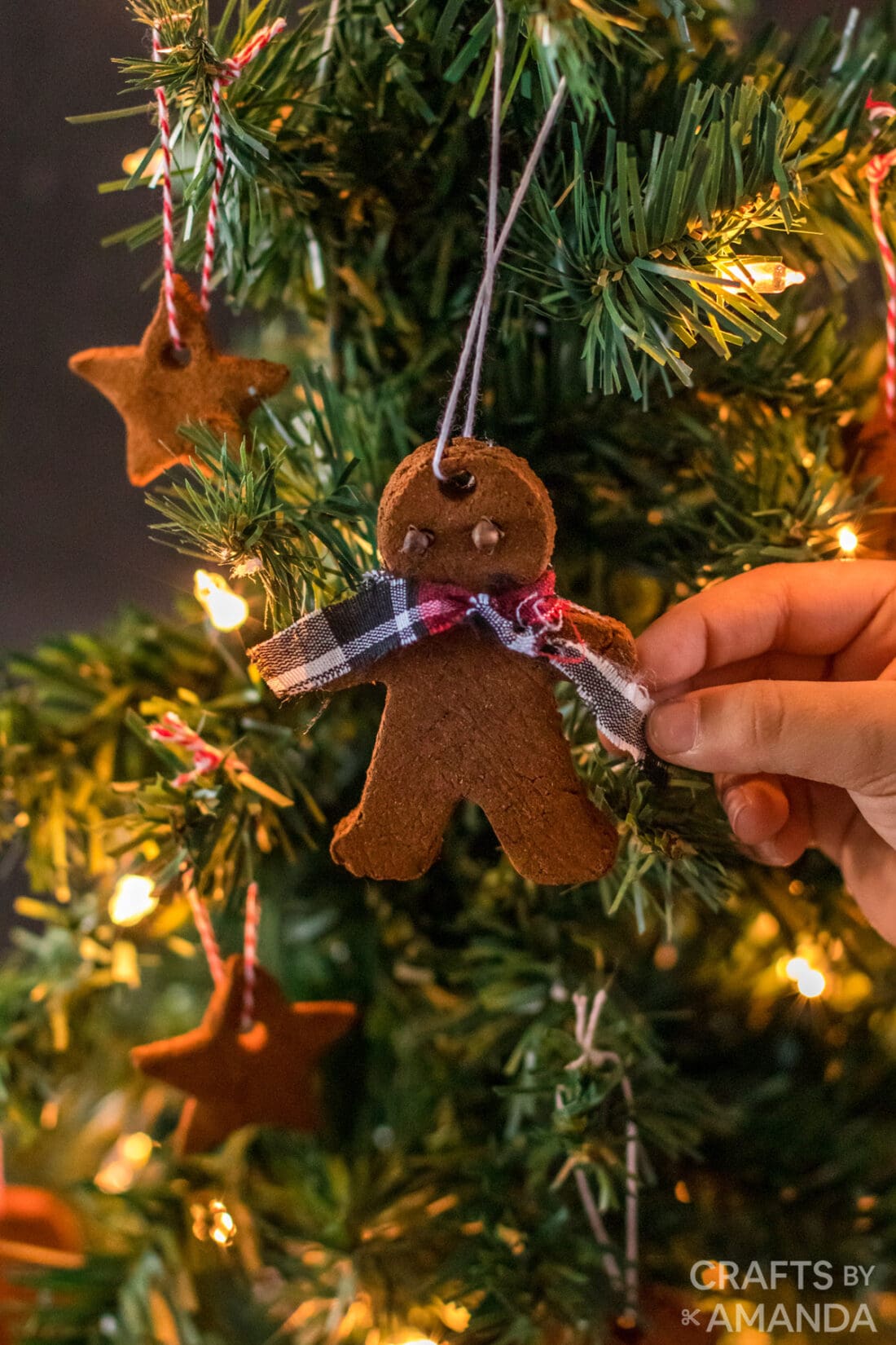 boy putting cinnamon ornament on tree