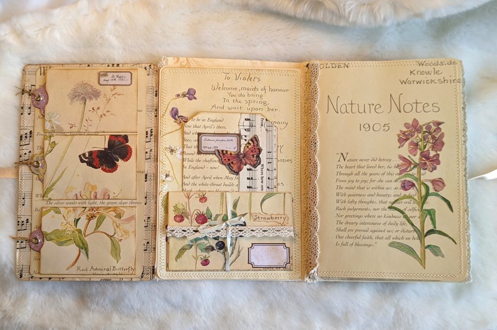 Edith Holden altered file folder journals