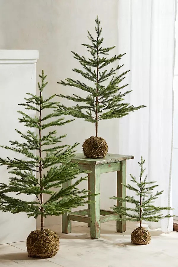Moss Covered Christmas Trees