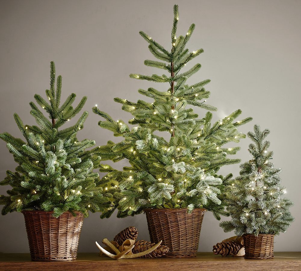 Pre-Lit Christmas Trees