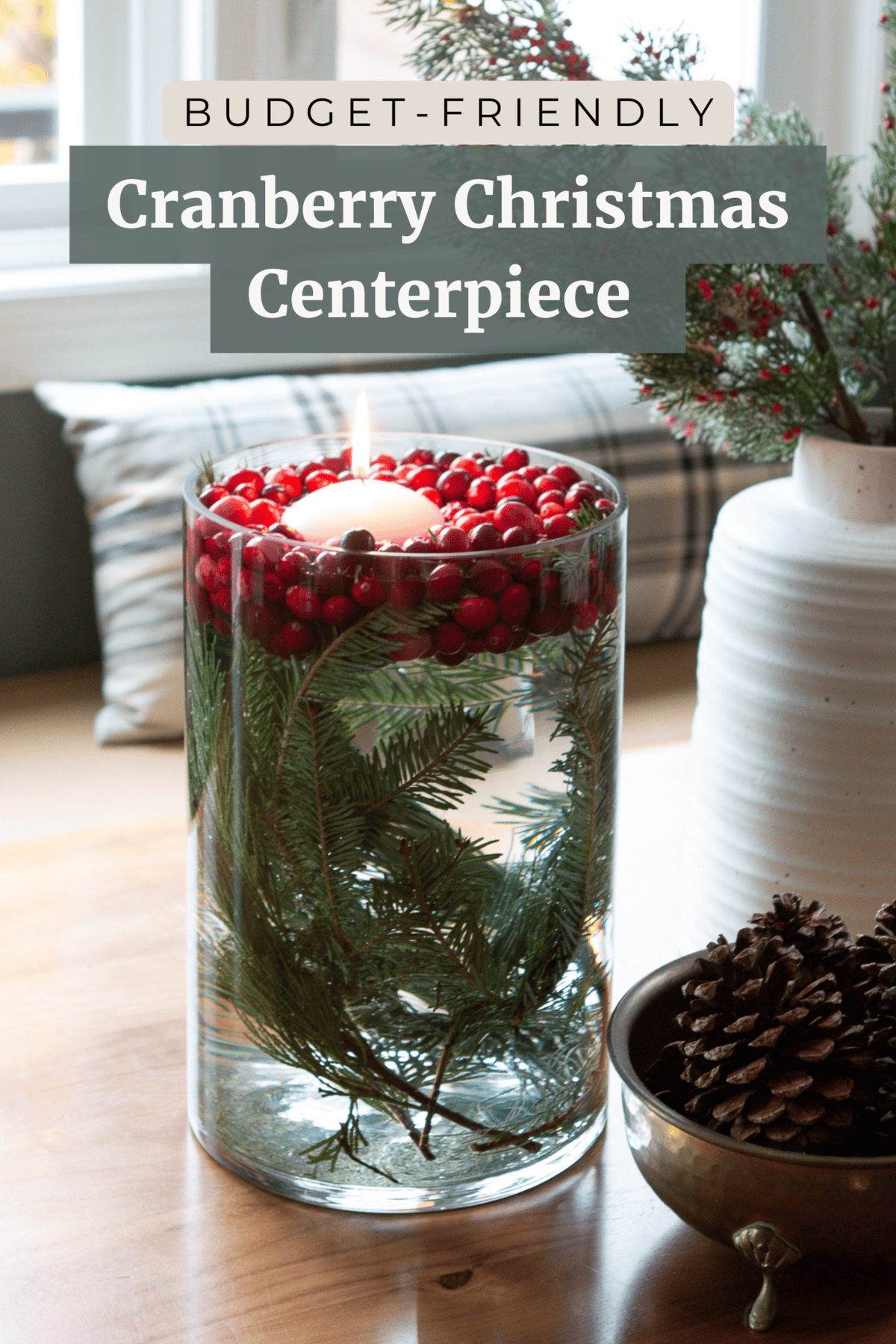 how to make a budget-friendly cranberry Christmas centerpiece