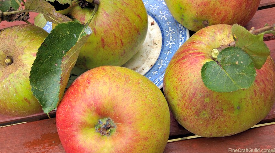This … is how to make applesauce – the only recipe you’ll need